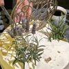 Pastel Flores de Lavanda - Image 2