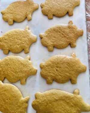 Marranitos de piloncillo docena