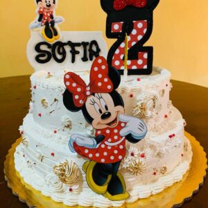 Pastel Minnie Mouse